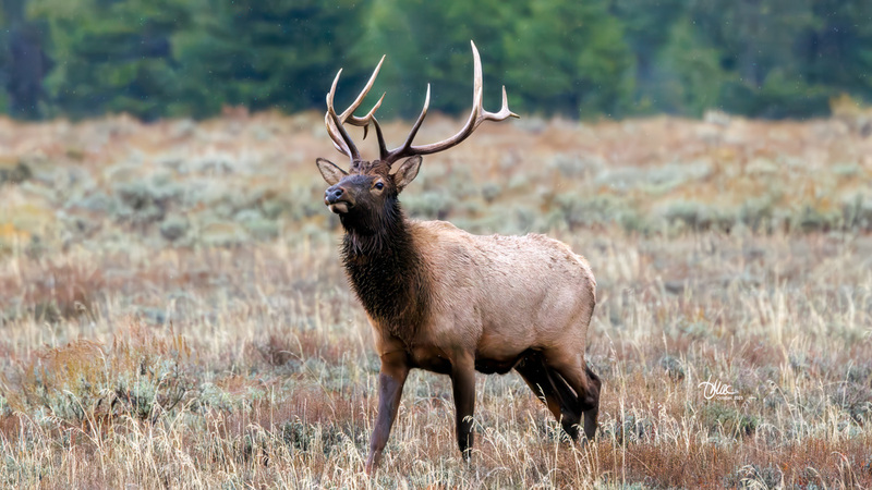 TMAC1792(1).jpg :: Upscaled with Gigapixel v1.0.4. 4757x2676 => 4757x2676 (1x) Model: Low Resolution V2, denoise: 0.612517236328125, sharpen: 0.4300815351297087, decompression: 0.2