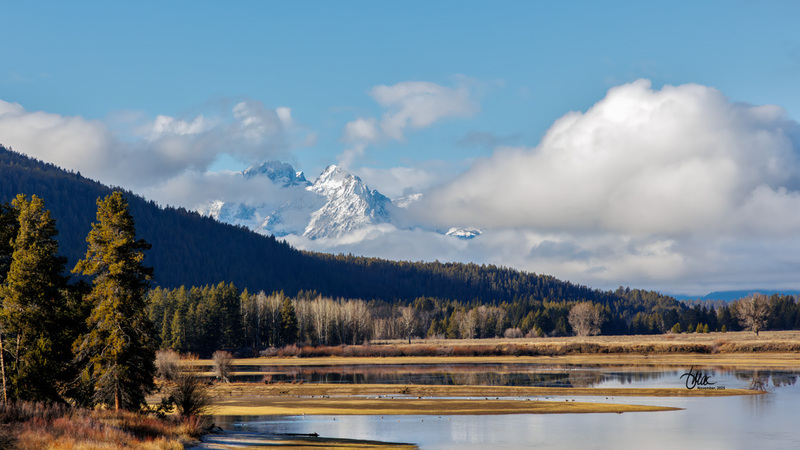 TMAC1792-2.jpg :: Upscaled with Gigapixel v1.0.4. 5127x2884 => 5127x2884 (1x) Model: Standard V2, denoise: 0.38462679428222657, sharpen: 0.7843732626757812, decompression: 0.435269921875