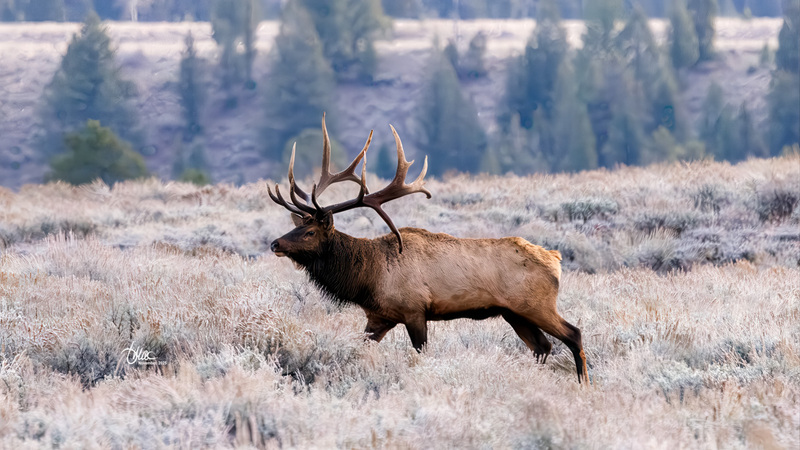 TMAC2438(1).jpg :: Upscaled with Gigapixel v1.0.4. 3722x2094 => 4838x2722 (1.3x) Model: RecoveryXL, denoise: 1, decompression: 0.01, sharpen: , sharpen: 0.01, sharpen: 2