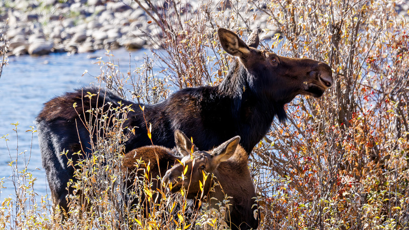 TMAC2888.jpg :: Upscaled with Gigapixel v1.0.2. 5697x3205 => 5697x3205 (1x) Model: CGI, denoise: 0.37632601303222657, sharpen: 0.6920881064257812