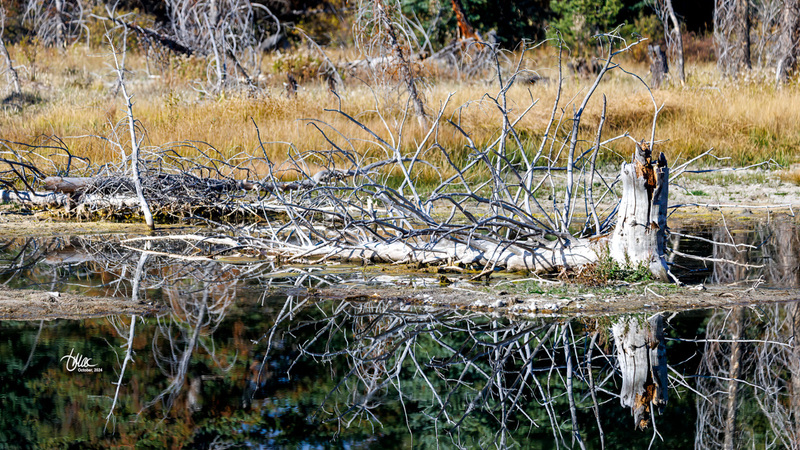 TMAC3274.jpg :: Upscaled with Gigapixel v1.0.0. 6748x3796 => 6748x3796 (1x) @ 300 ppi Model: RecoveryV2, detail: 0.38008846489719805