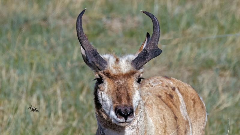 TMAC3544.jpg