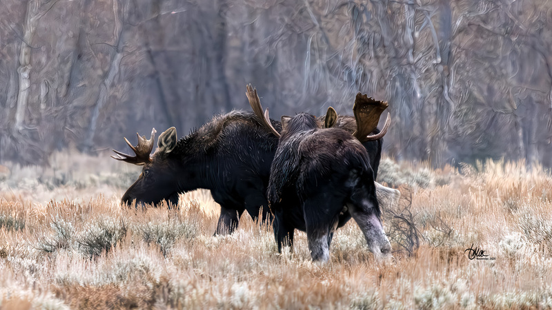 TMAC3649.jpg :: Upscaled with Gigapixel v1.0.4. 4037x2271 => 4037x2271 (1x) Model: CGI, denoise: 0.37876741928222657, sharpen: 0.3908185751757813