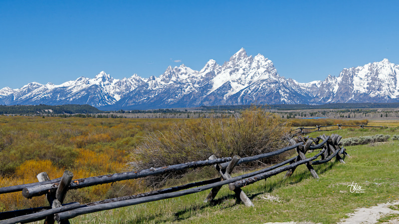 TMAC7073.jpg :: Upscaled with Gigapixel v8.4.3. 4800x2700 => 4800x2700 (1x) @ 300 ppi Model: RecoveryV2, detail: 0.38008846489719805