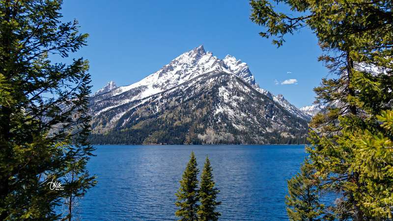 TMAC7251.jpg :: Upscaled with Gigapixel v8.4.3. 4800x2700 => 4800x2700 (1x) @ 300 ppi Model: RecoveryV2, detail: 0.38008846489719805