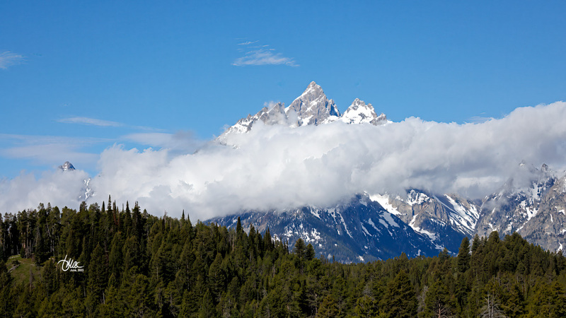 TMAC9818.jpg :: Upscaled with Gigapixel v8.4.3. 4800x2700 => 4800x2700 (1x) @ 300 ppi Model: RecoveryV2, detail: 0.38008846489719805