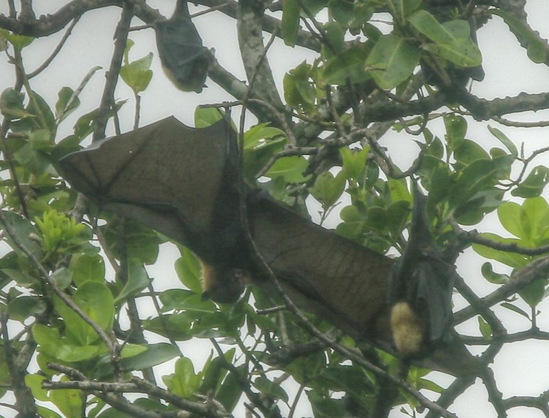 _H4Q0921_ (2)_ (3)_tonemapped-crop.jpg