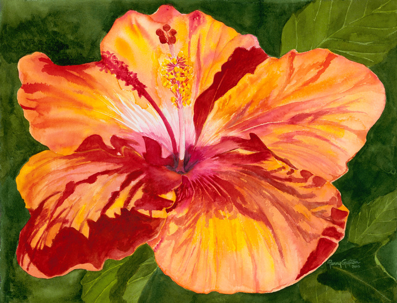 Orange Hibiscus.jpg :: Orange Hibiscus - Artist proof -approx 9 X 11 1/2 signed/numbered $100. free shipping within the USA