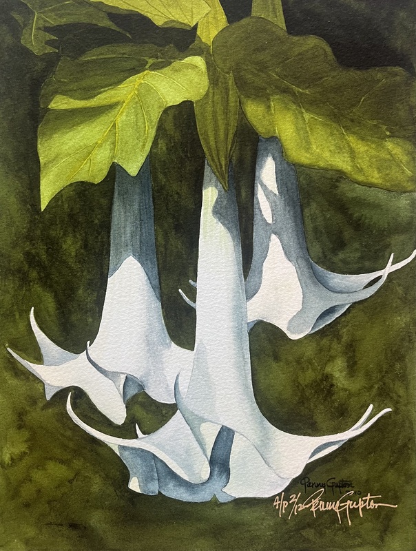 Trumpet Flower.jpg :: Trumpet Flower - Artist Proof - 9 X 11 1/2 signed/numbered $100. free shipping within the USA