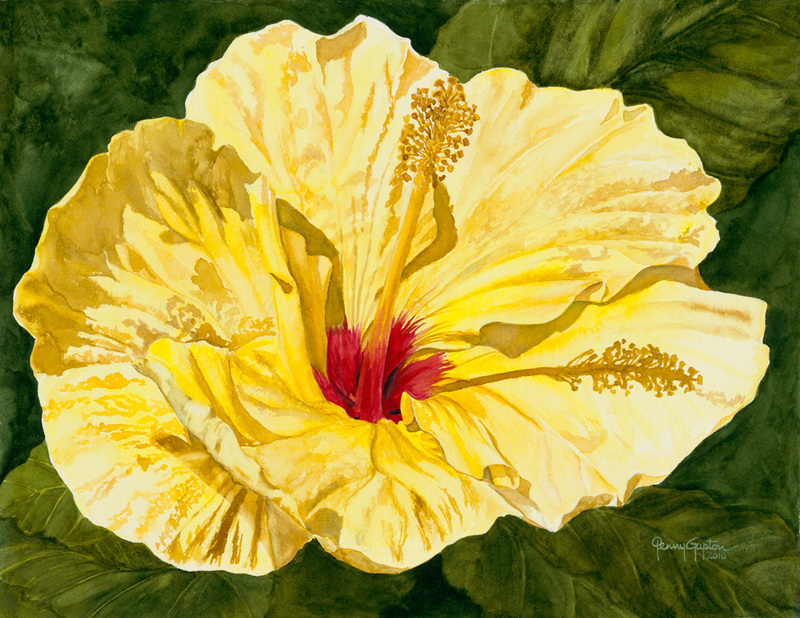 Yellow Hibiscus.jpg :: Yellow Hibiscus - Artist Proof - Signed/numbered - approx 9 X 11 1/2 $100.  Free shipping within the USA