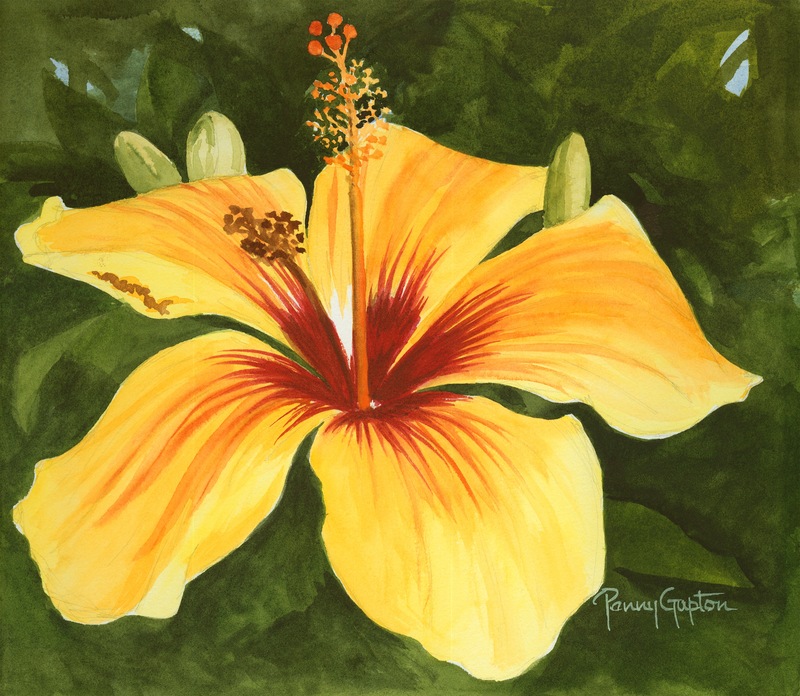 Yellow Red Hibiscus.jpg :: Yellow Red Hibiscus - Artist proof signed/numbered approx 10 X 11 1/2 - $100. free shipping within the USA