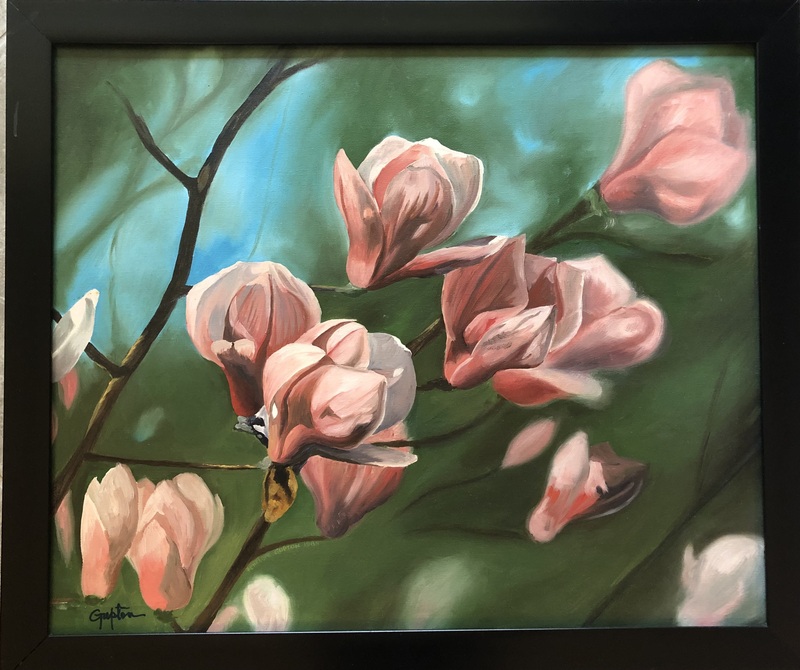magnolia.jpg :: One of the first joys of spring. 