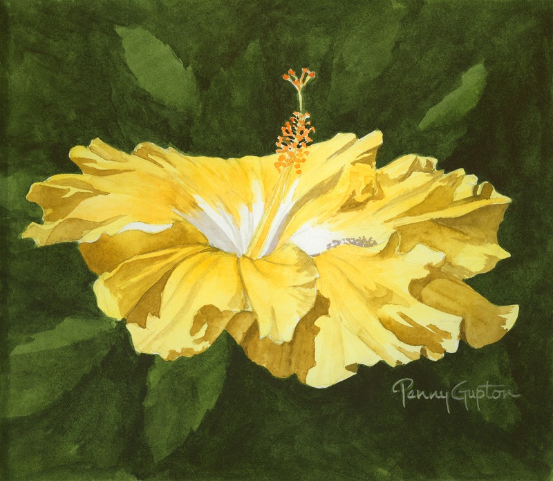 small Yellow Hibiscus.jpg :: Small Yellow Hibiscus - Artist proof -approx 10 X 11 1/2 signed/numbered $100. free shipping within the USA