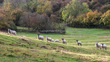 Cotswold25-107.jpg