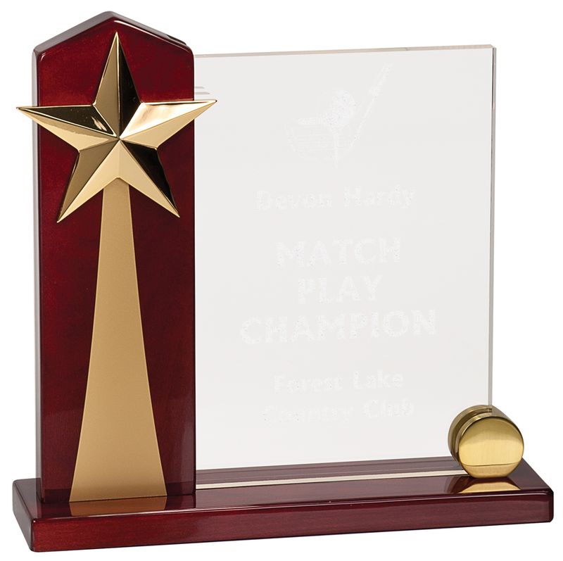 RSA185_(SPECIAL ORDER).jpg :: 9 x 8 1/2 Clear Rising Star Acrylic