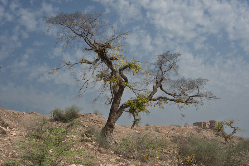 Agra 2 2016 049.jpg :: Agra 2 2016