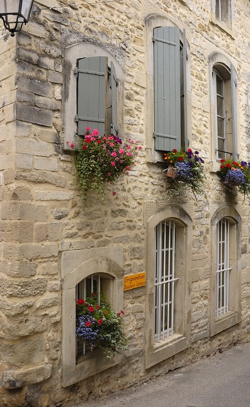 Buisson house flowers.jpg ::                                