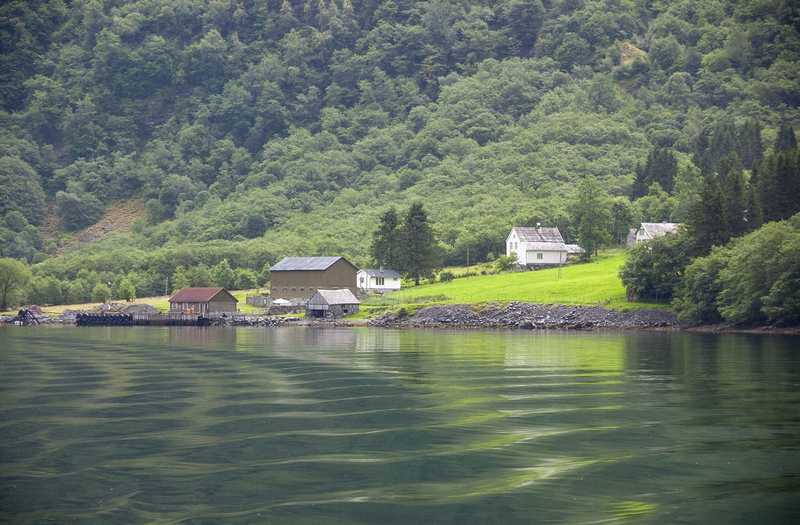 Fjords 1.jpg
