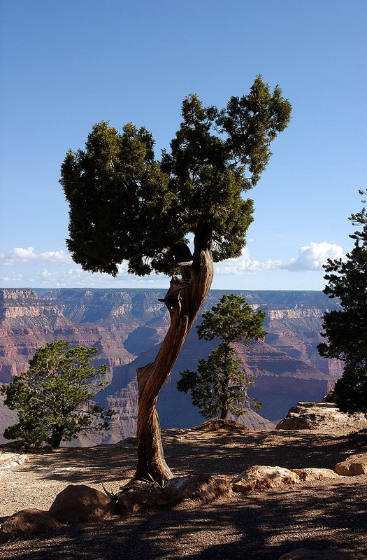 Grand Canyon 036.jpg ::                                