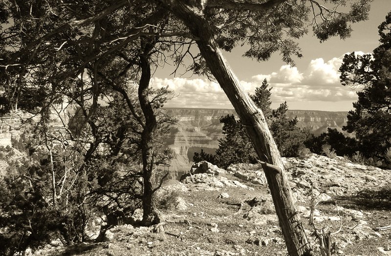 Grand Canyon 051.jpg ::                                