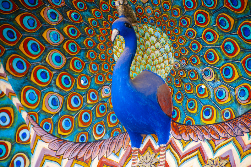 Jaipur 2016 189.jpg :: Jaipur 2016