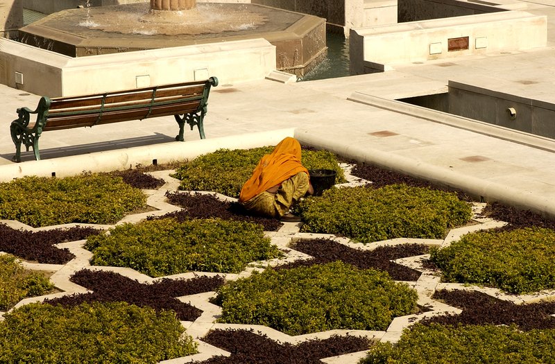 Jaipur Tending Garden.jpg ::                                
