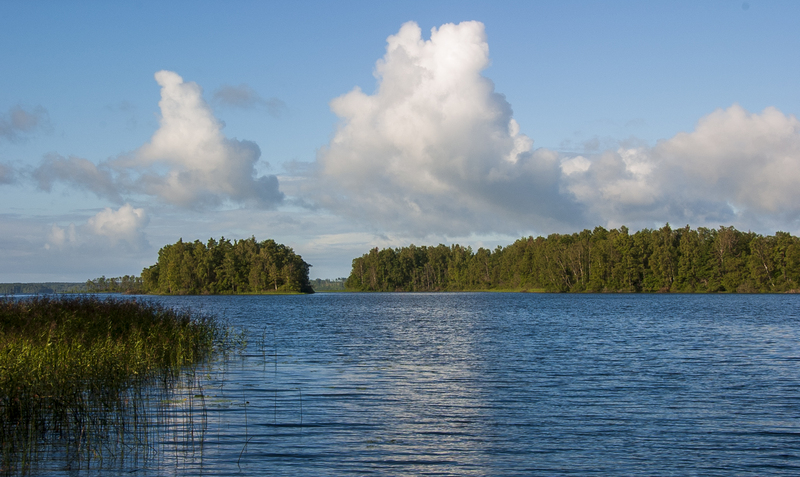Morning in Sweden.jpg