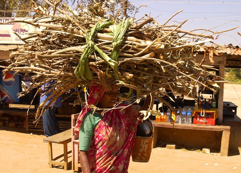Mysore bundle of sticks 1.jpg ::                                