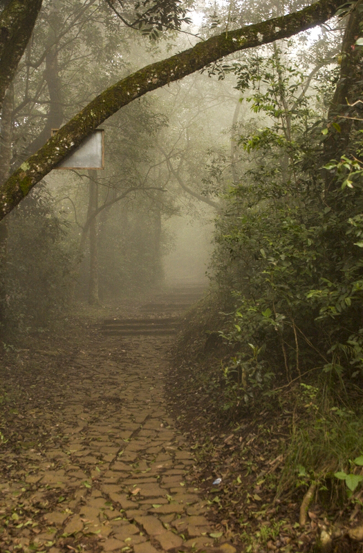 Ooty 004.jpg