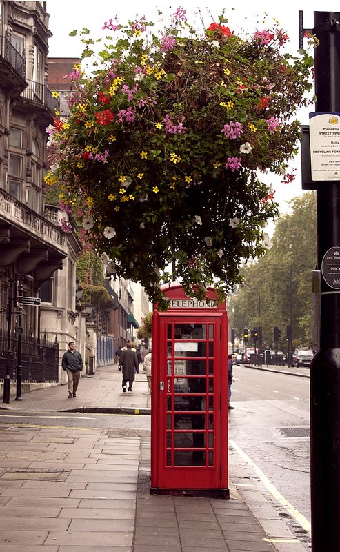 Phone Booth.jpg ::                                