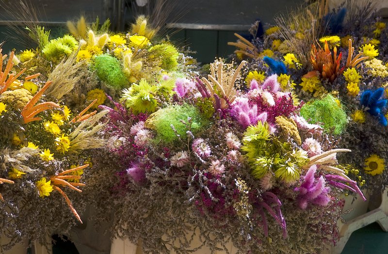 Provence Flowers 4.jpg