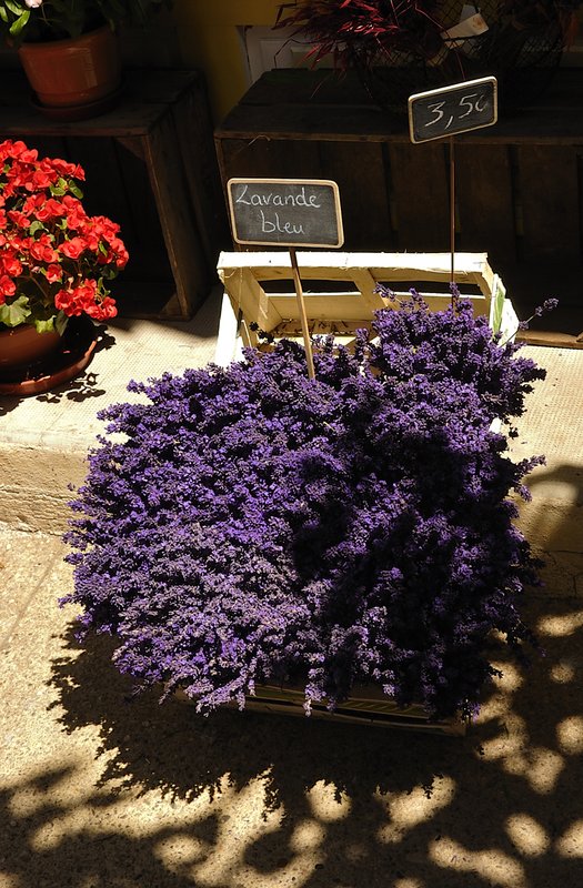 Provence Lavande Bleu.jpg ::                                