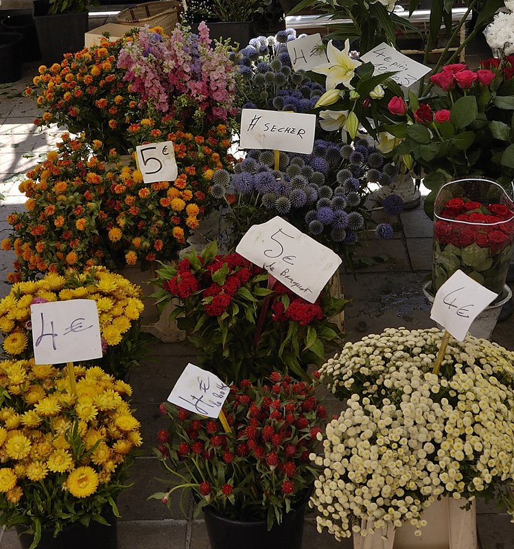 Provence flowers 2.jpg ::                                