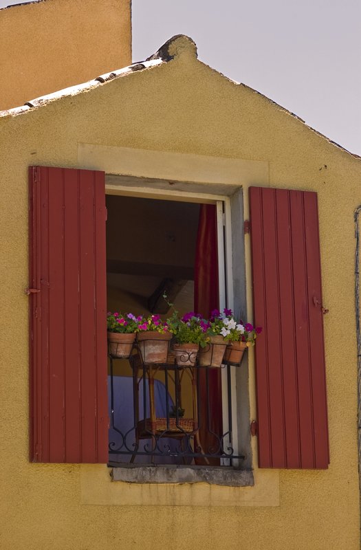 Province 2005 Window Flowers.jpg