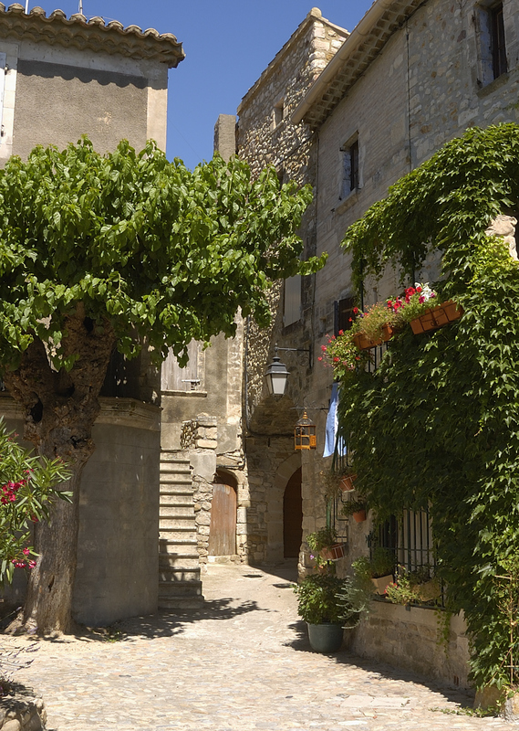 Province courtyard 2.jpg
