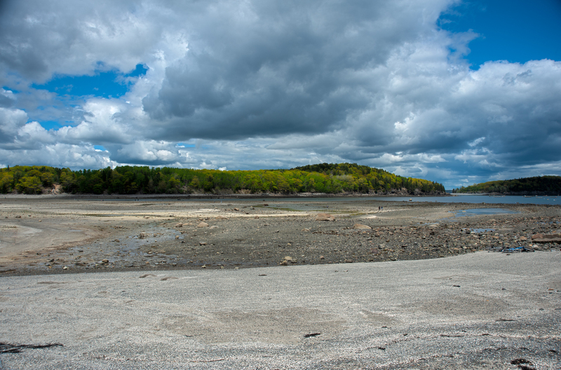 Bar Harbor 3.jpg