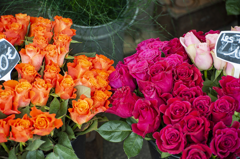 Bretagne Market flowers 1.jpg :: Bretagne Market flowers 1