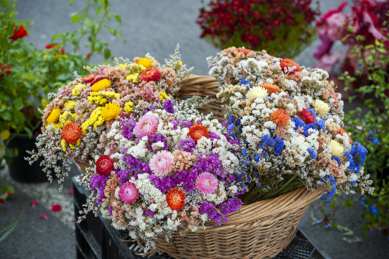 Bretagne Market flowers 2.jpg :: Bretagne Market flowers 2