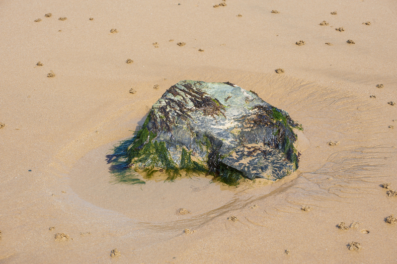 Bretagne beach stone.jpg :: A rock, weathered by the tide
