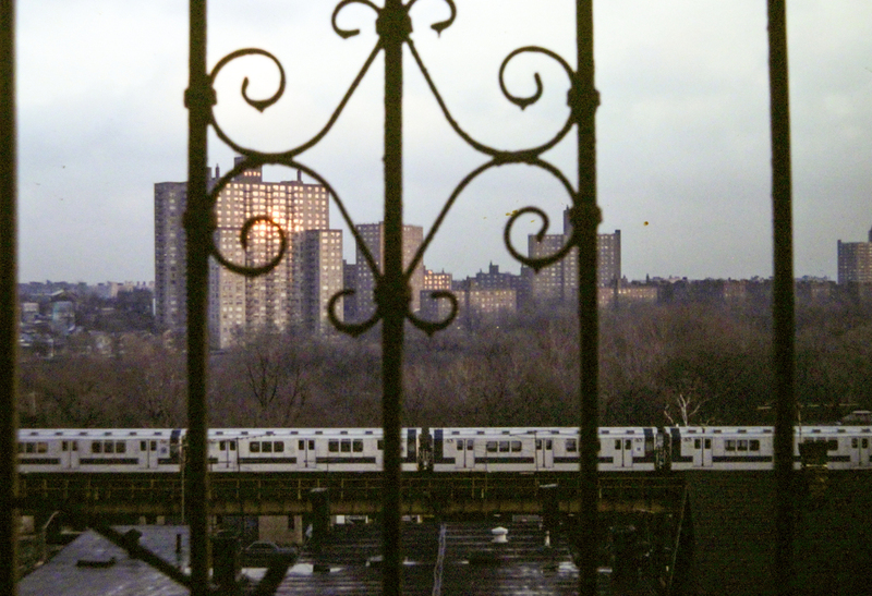 Bronx Park 1981.jpg :: Bronx Park 1981