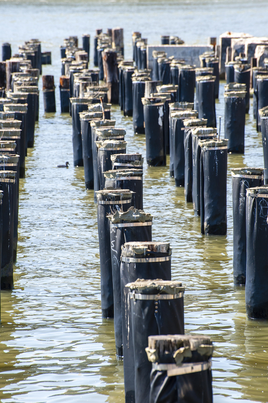 Brooklyn waterfront.jpg :: Brooklyn waterfront