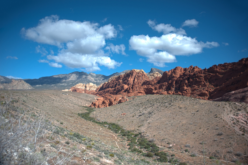 Calico Hills at Red Rock Canyon.jpg :: Calico Hills at Red Rock Canyon