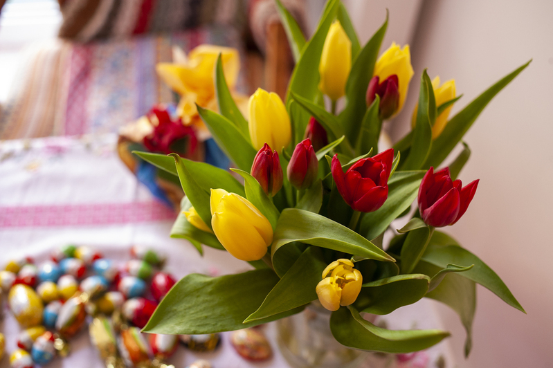 Easter Flowers.jpg :: Easter Flowers in Hamburg