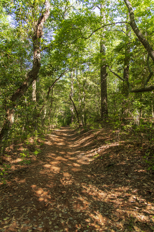 First Landing Park 5.jpg :: First Landing Park