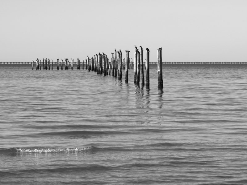 First Landing Park Beach 1.jpg :: First Landing Park Beach 1
