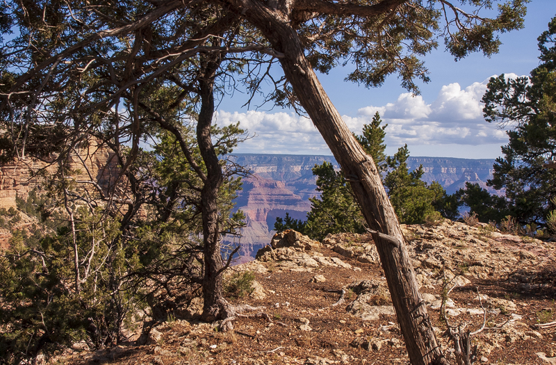 Grand Canyon color.jpg :: Grand Canyon vista