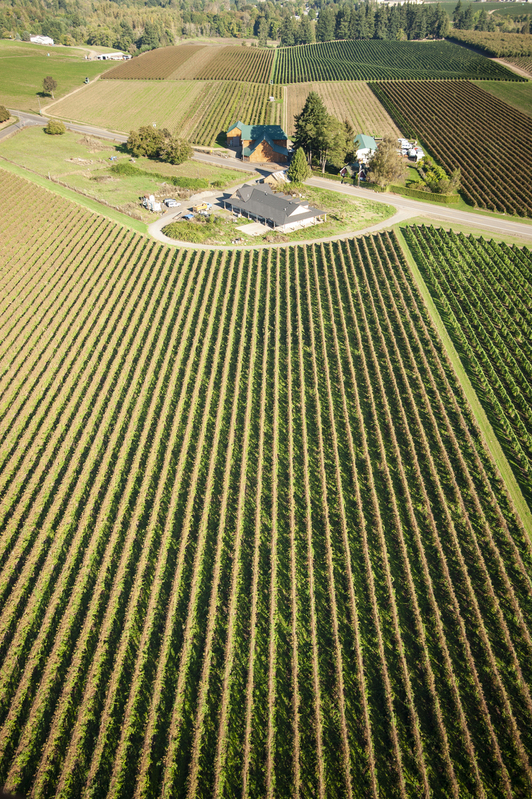 Hot Air Balloon 03.jpg :: Hot Air Balloon 03
