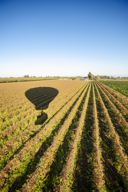 Hot Air Balloon 04.jpg :: Hot Air Balloon 04
