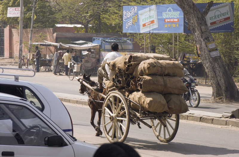 Jaipur Street Scene 2.jpg :: Jaipur Street Scene 
