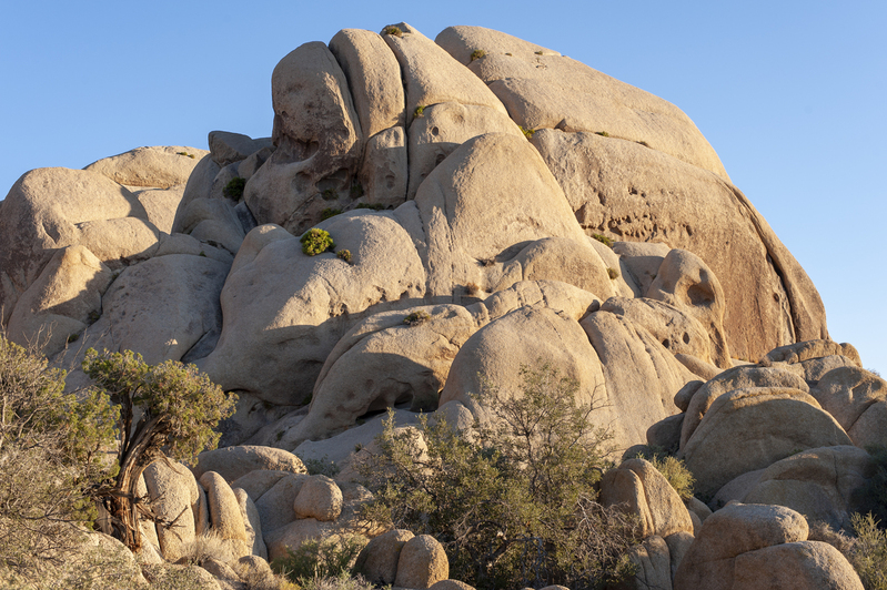 Joshua Tree national Park 01.jpg :: Joshua Tree national Park 01